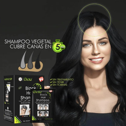 Dexe® SHAMPOO BLACK HAIR NATURAL ANTICANAS - LIBRE DE AMONIACO