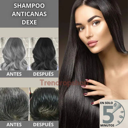 Dexe® SHAMPOO BLACK HAIR NATURAL ANTICANAS - LIBRE DE AMONIACO