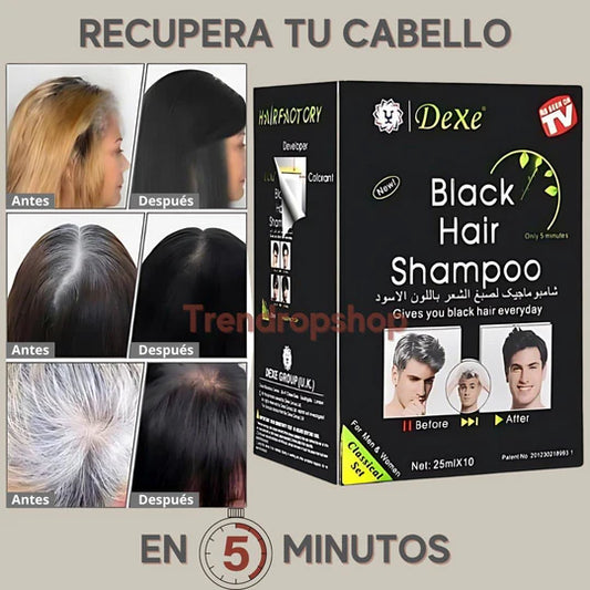 Dexe® SHAMPOO BLACK HAIR NATURAL ANTICANAS - LIBRE DE AMONIACO